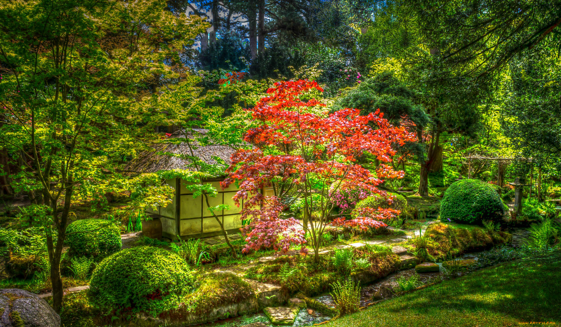 , , hdr, , , , , 